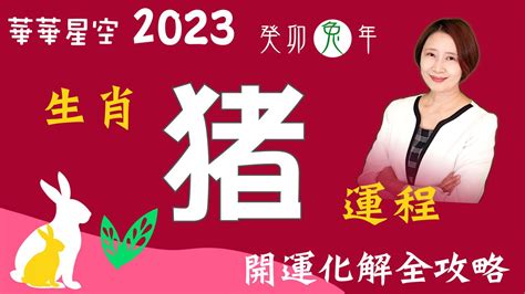 豬 2023 運勢|【2023豬運勢】2023豬運勢：福星高照，一路旺到年底！ 財運桃。